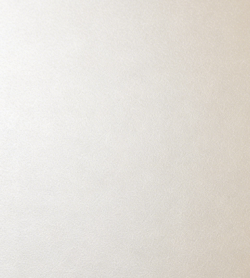 Silver Beige