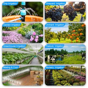Timer acqua esterna per irrigatore 1 presa grande schermo LCD Timer di irrigazione programmabile per giardino manuale prato - Product Image 2