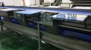 Six Workers Station Apricot <strong>Pear</strong> Peach Sorting Selecting Table Conveyor - Product Image 4