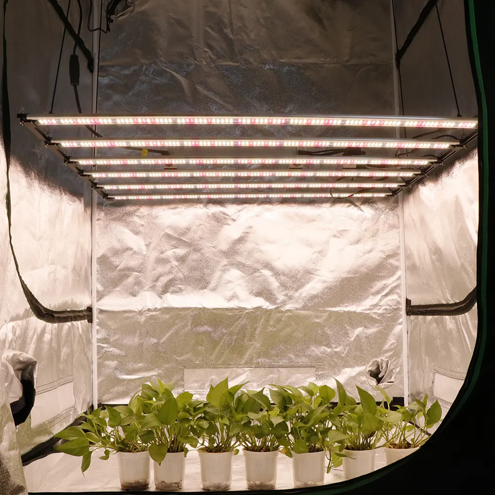 5x5 pieds, 1000w, 800w, lm301h, barre de lumière de croissance LED à spectre complet, UV IR, allumer/éteindre pour tente de fleur intérieure, lampe Phyto de croissance des plantes