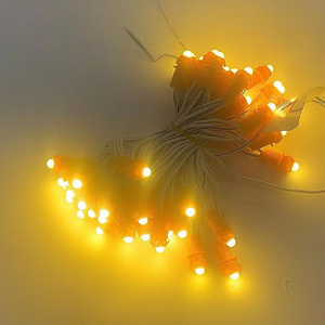 Vendita diretta in fabbrica impermeabile monocolore 50 Leds15cm DC 12v 9mm Led Pixel String Light led module hot - Product Image 4