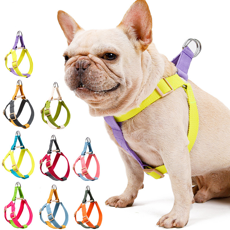 Pet Dog Harness Set Custom Sublimation Gradient Color Pet Harness Adjustable Luxury Pet Dog Harness And Collar Leashes Set