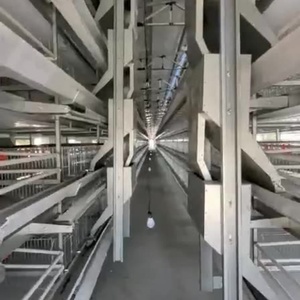 高品质自动蛋层电池养鸡场蛋鸡笼新型钢粪带家兔畜笼待售 - Product Image 3