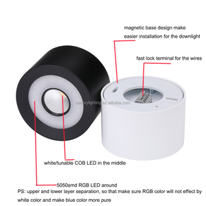 Benory DC 24V <strong>LED</strong> RGBW WW Loxone Tree Ceiling Spot <strong>PWM</strong> KNX Dali <strong>DMX</strong> Zigbee RGB-CCT Smart Automatic Lighting - Product Image 2