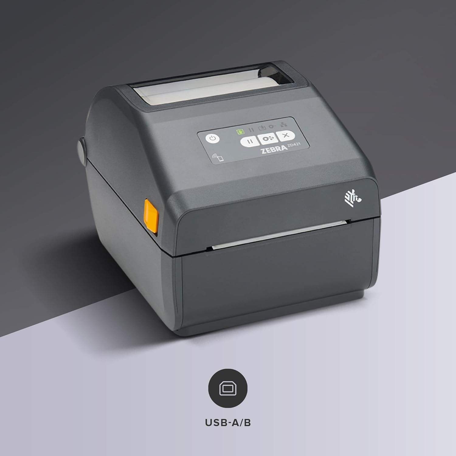 Noir 203 DPI avec réseau
