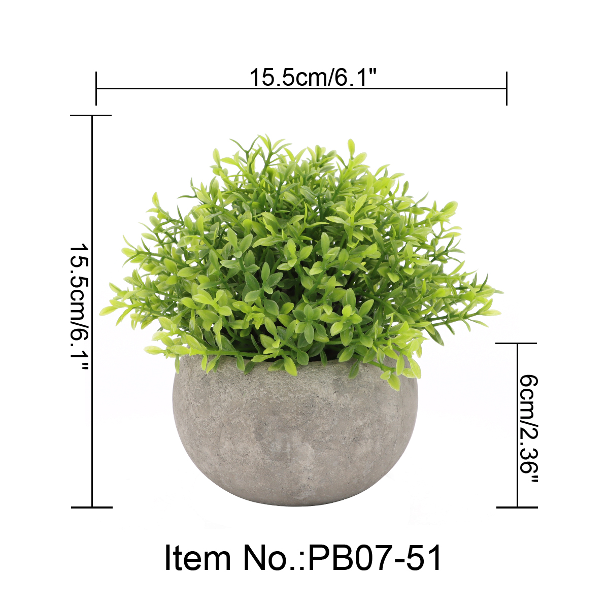 PB07-51 vert
