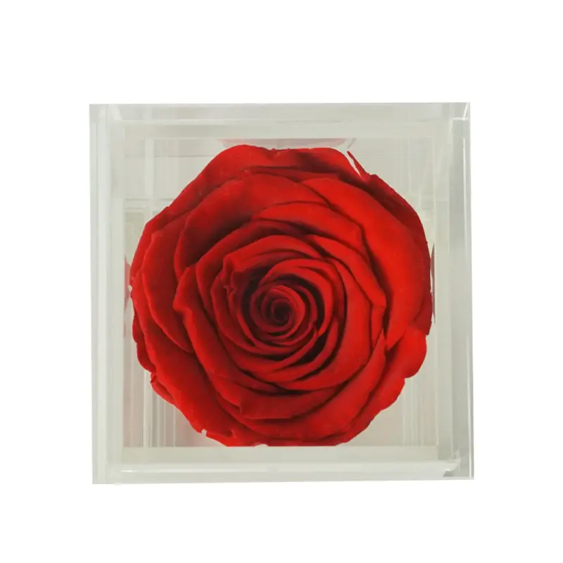 7cm Fresh Cut Flower Preservado Rose Em Caixa De Acrílico Flower Gift Real Rose