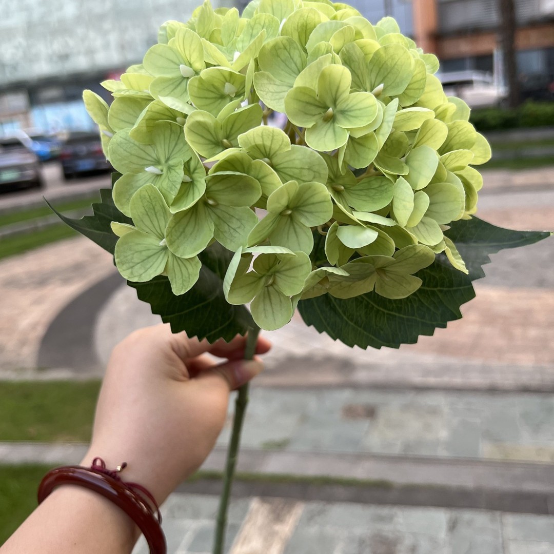 72 mini-hortensias tactiles en gel souple-vert