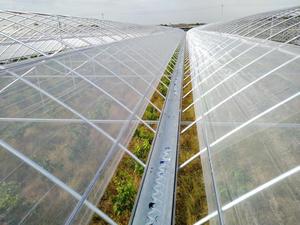 Sera tarım polietilen böcek Mesh Net 50 Mesh Anti-cibinlik ağaçlar sebze bahçeleri sera yapımı plastik - Product Image 6