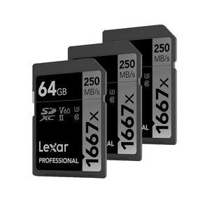 Authentic Hot Sale Lexar 1667X SD Card 64GB 128GB 256GB <strong>Memory</strong> Card SDXC UHS-II U3 3D <strong>Flash</strong> Card Max 250MB/s for 4K Video Camera - Product Image 6