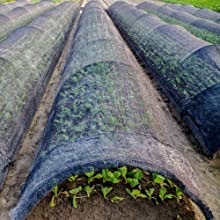 Großhandel Hot Selling 85% Sonnenschutz netz Schwarzes Sonnenschutz netz für die Landwirtschaft Gewächshaus - Product Image 6