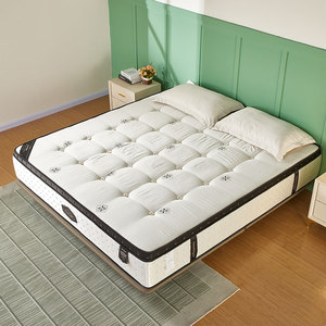 Sợi thủy tinh miễn phí 8 inch bọt và mùa xuân ST841 lai nệm trong một hộp cho zinus - Product Image 3