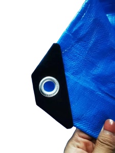 140G Vải Nhựa Màu Xanh Kích Thước Tùy Chỉnh Đảm Bảo Bảo Vệ Tối Ưu Sản Phẩm Nóng Tarpaulin Cuộn Để Bao Gồm Các Công Cụ Nội Thất - Product Image 4