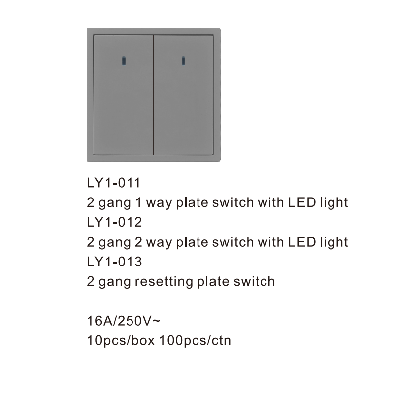 Interrupteur à plaque 2 modules 1 voie avec éclairage LED