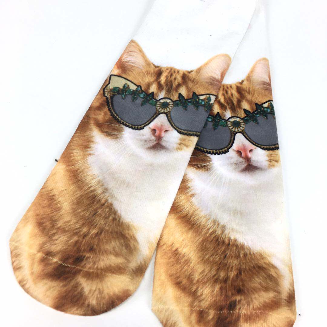 Gros chat jaune et blanc avec des lunettes de soleil