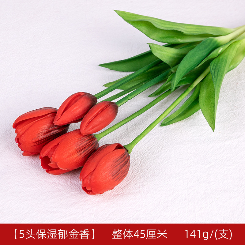 5 tulipes hydratantes