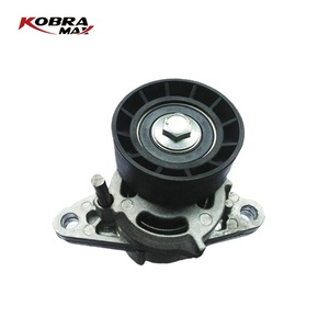 Auto Parts Tensioner Pulley For DACIA 8200277606 For RENAULT 8200277606 Auto Mechanic