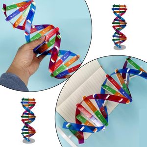 DNA modeli çift sarmal modeli bileşen İnsan genleri DNA moleküler kiti yaratıcı çift Spiral bilim için Model birleştirin - Product Image 2