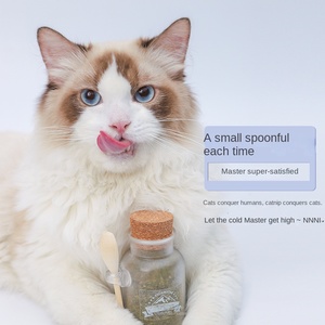 <strong>Catnip</strong> Kitty Snack Powder Eco-Friendly Potted Plant for Cats Helps Remove Hair &amp; Bad Breath Also for Dogs - Product Image 3