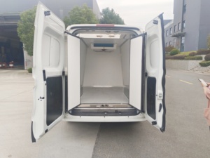 Mini đông lạnh hàng hóa Giao hàng xe nhỏ lạnh van tủ đông xe - Product Image 4