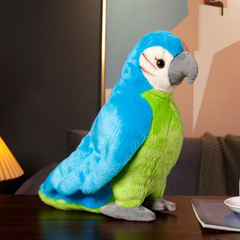 perroquet bleu