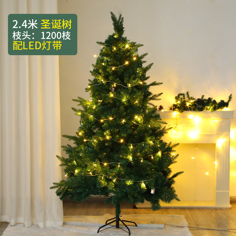 24m auto encryption tree-pe hybrid with lights