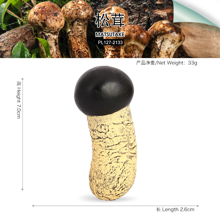 2133 Matsutake