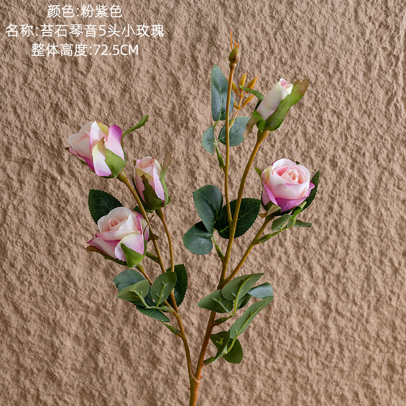 Rose violet