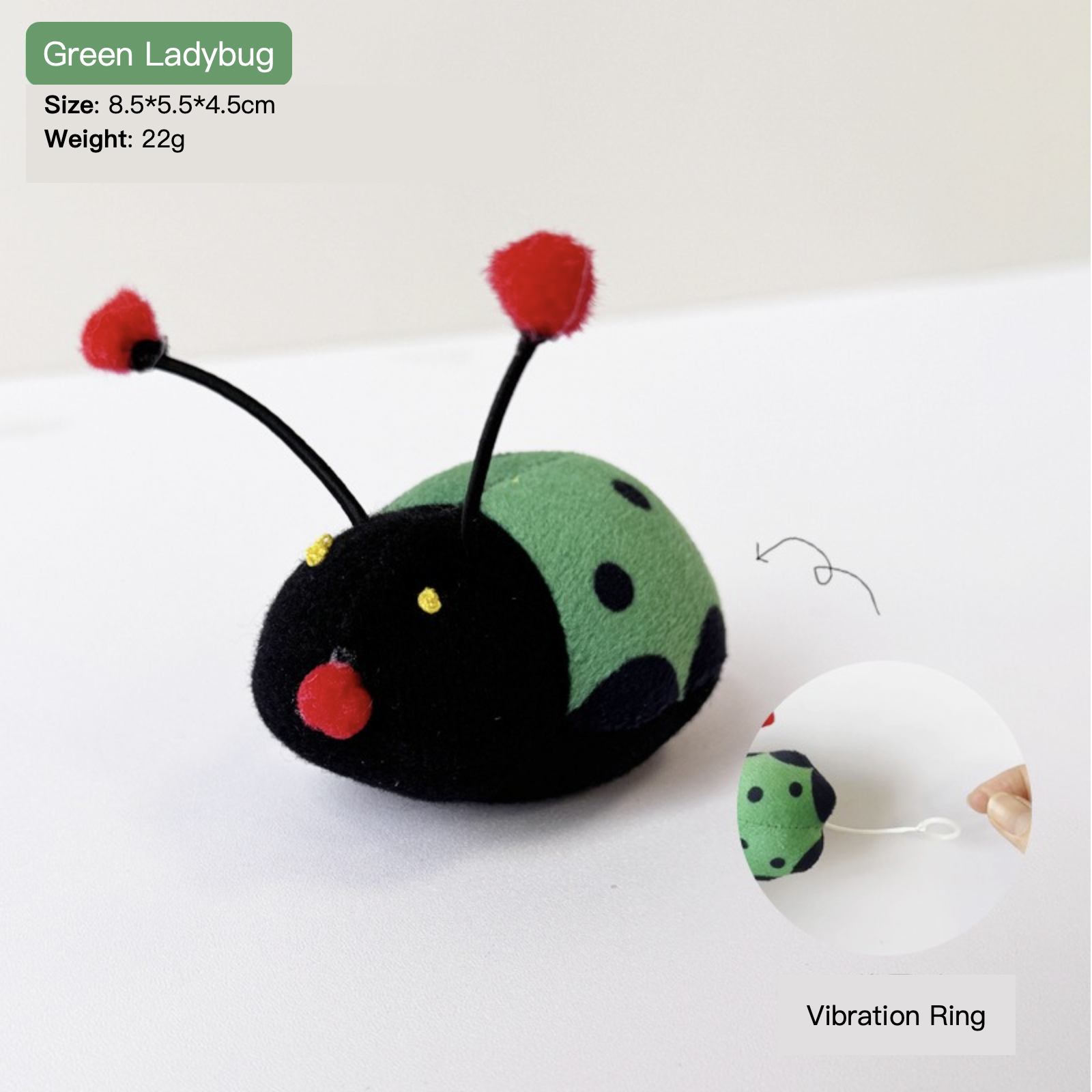 Coccinelle verte