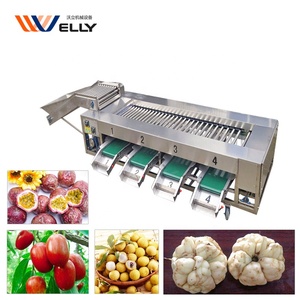 Piccolo Pomodoro Ordinamento Macchina/Mangostano Classificazione Macchina/Dolce di Patate Linea di Smistamento - Product Image 6