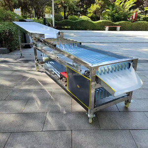 Macchina selezionatrice per la selezione di datteri alla pera di albicocca in acciaio inossidabile - Product Image 2