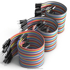 Kabel pita datar pelangi 2.54mm 40 Pin dengan konektor Dupont-Harness kabel IDC panjang kustom murah - Product Image 2