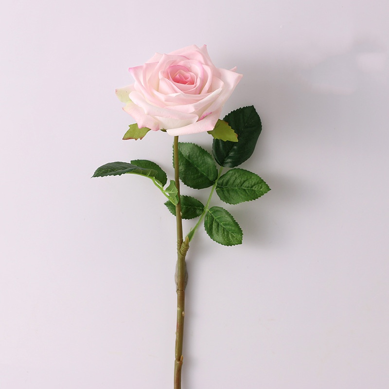 3. mezclar rosa