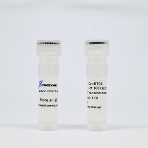 Tinzyme AMV Reverse Transcriptase Can Perform CDNA Synthesis Using Approximately 10 Kb RNA Template - Product Image 2