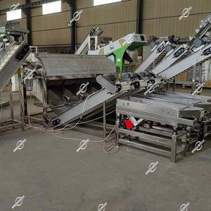 Industrial Automatic Macadamia Grading <strong>Sorting</strong> <strong>Machine</strong> Breaking Macadamia Nut Cracking <strong>Shelling</strong> Processing Equipment - Product Image 5
