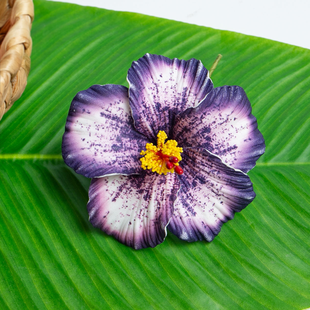 สีม่วงเข้ม