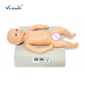 <strong>Computer</strong> Model of Infant Heart and Lung Auscultation Microcomputer Display Board - Product Image 1