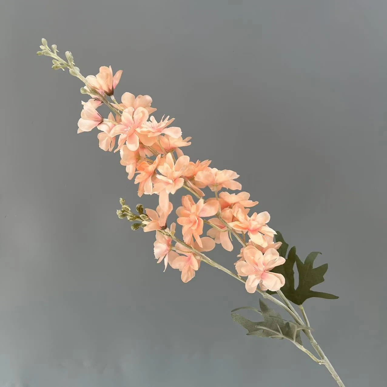 Rose nude