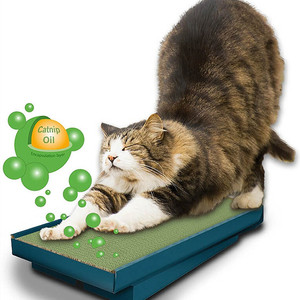 Aceites de aromaterapia animales naturales puros al por mayor, aceite esencial de hierba gatera cruda al por mayor nuevo 100% puro para juguetes para gatos, spray a granel - Product Image 5