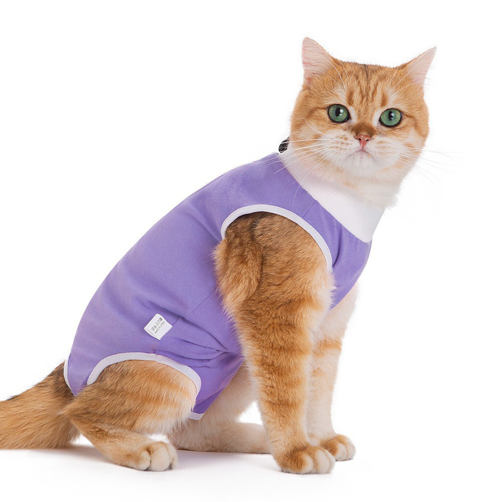 Pet incontinence pants-purple