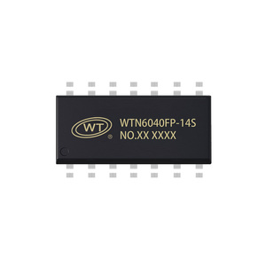 Sowohl das Haupt steuerungs programm als auch Flash-Daten können wiederholt verbrannt werden. Sprach aufzeichnung chip für Mobile Hidden - Product Image 1