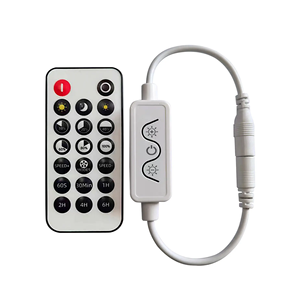 Control de aplicaciones Mini controlador LED de un solo color RF 20Key Control remoto Temporizador Atenuador de luz LED para Módulo de señal de tira Led