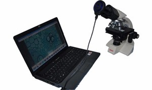 5.0mp High Resolution High Sensitivity <strong>Coms</strong> <strong>Sensor</strong> Digital Microscope <strong>Camera</strong> with Built-in Relay Lens Material Analysis - Product Image 2