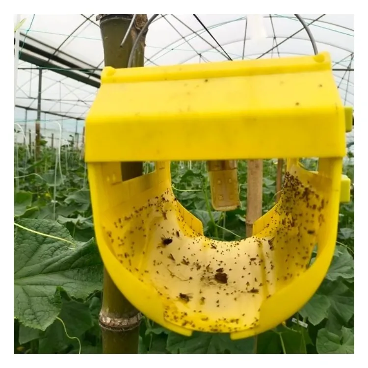 Mini piège à lumière solaire pour contrôler les parasites extérieurs en attirant et en collant la serre papillon/moucheron