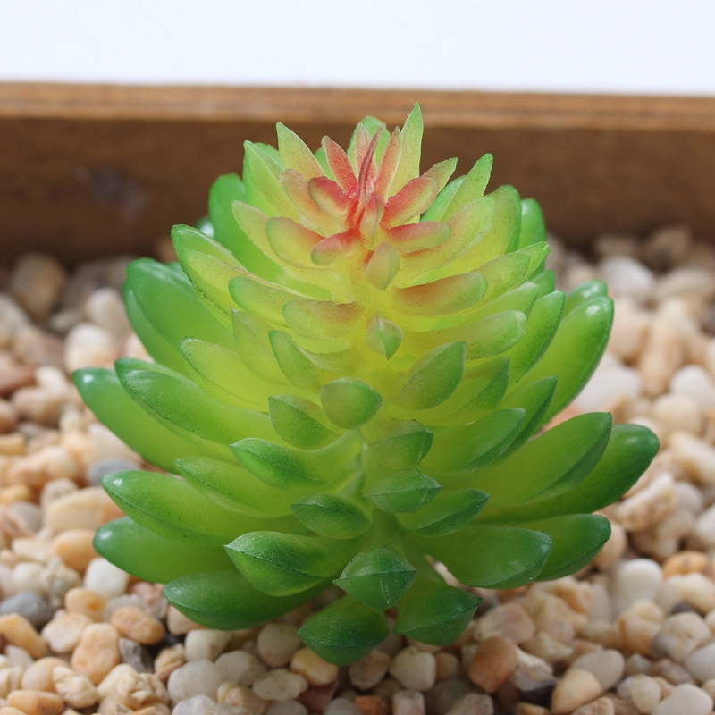 Pinecone 4*4cm