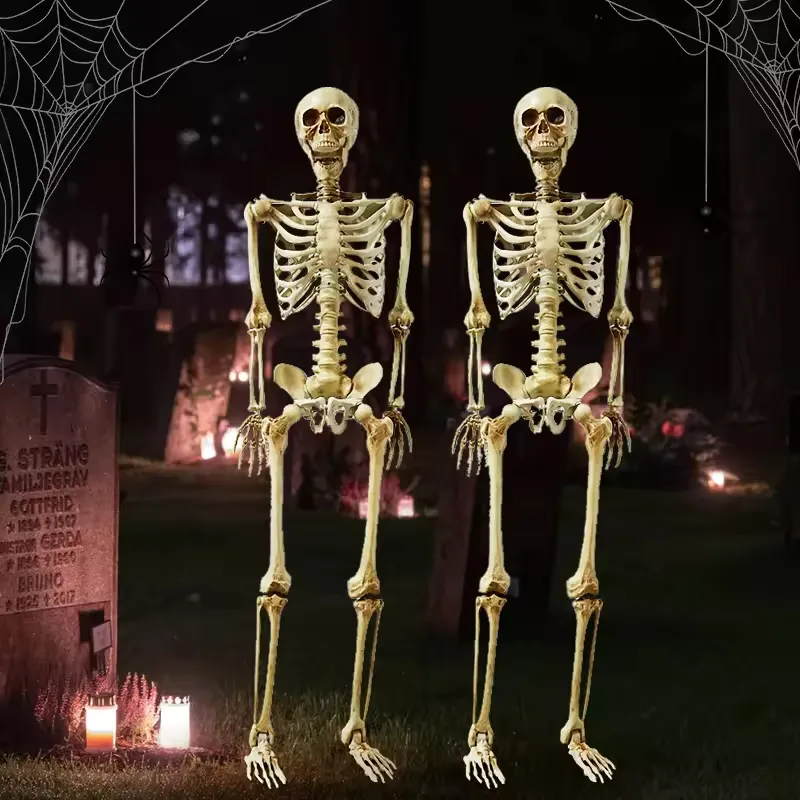 Realistische Full Body Levensgrote Plastic Prop Griezelige Gewrichten Pos Ablebones Menselijk Halloween Skelet Voor Binnen En Buiten