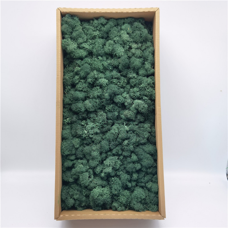 L02 blu-verde intenso-500g