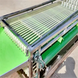 Macchina automatica per la selezione delle dimensioni di frutta e verdura - Product Image 4