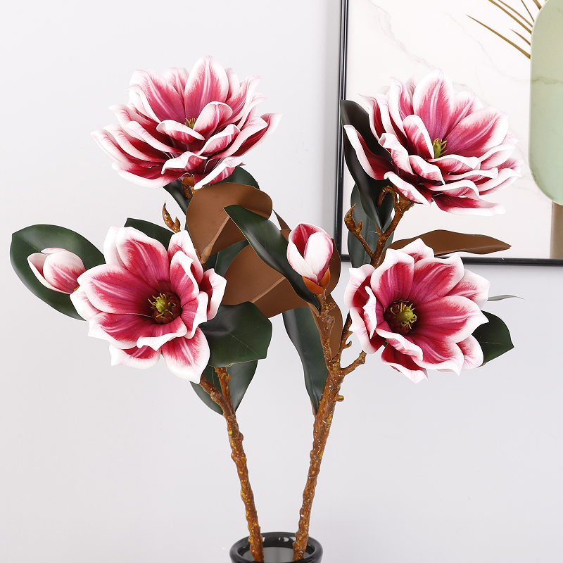 กุหลาบแดง