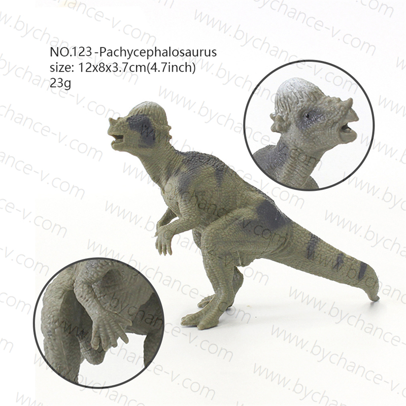 NO.123-Pachycephalosaurus